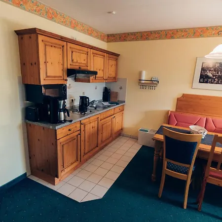 公寓 Hundefreundliches Family H3 110 *